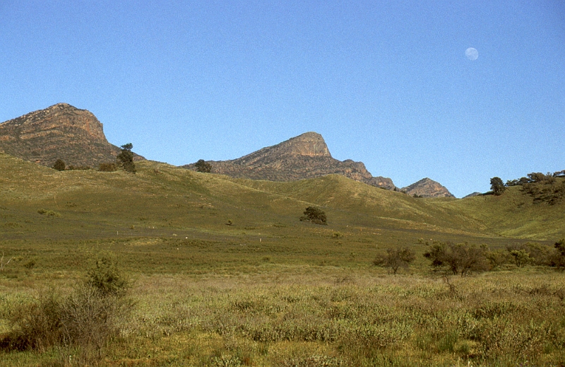 719_Flinders Ranges.jpg